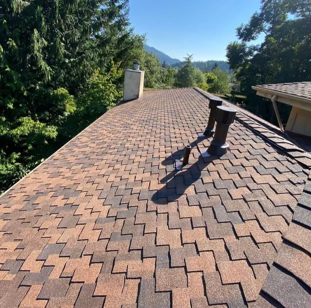 A roof with a chimney on it and trees in the background