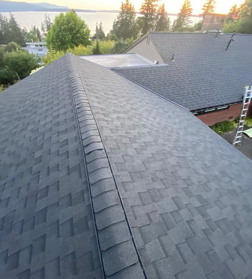 Roofing Styles